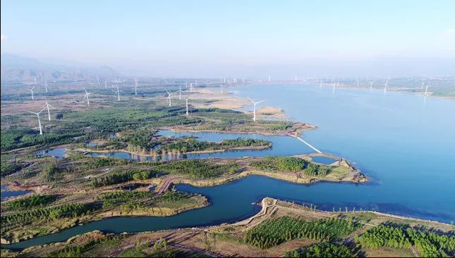 中国林产协发布推进“双碳”战略行动方案